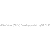 Recombivirus? Human Anti-Zika Virus (ZIKV) Envelop protein IgG1 ELISA kit, 96 tests, Quantitative